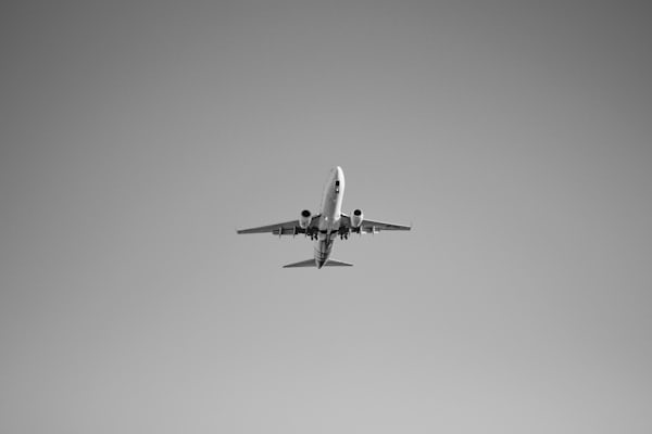 Curated Flights